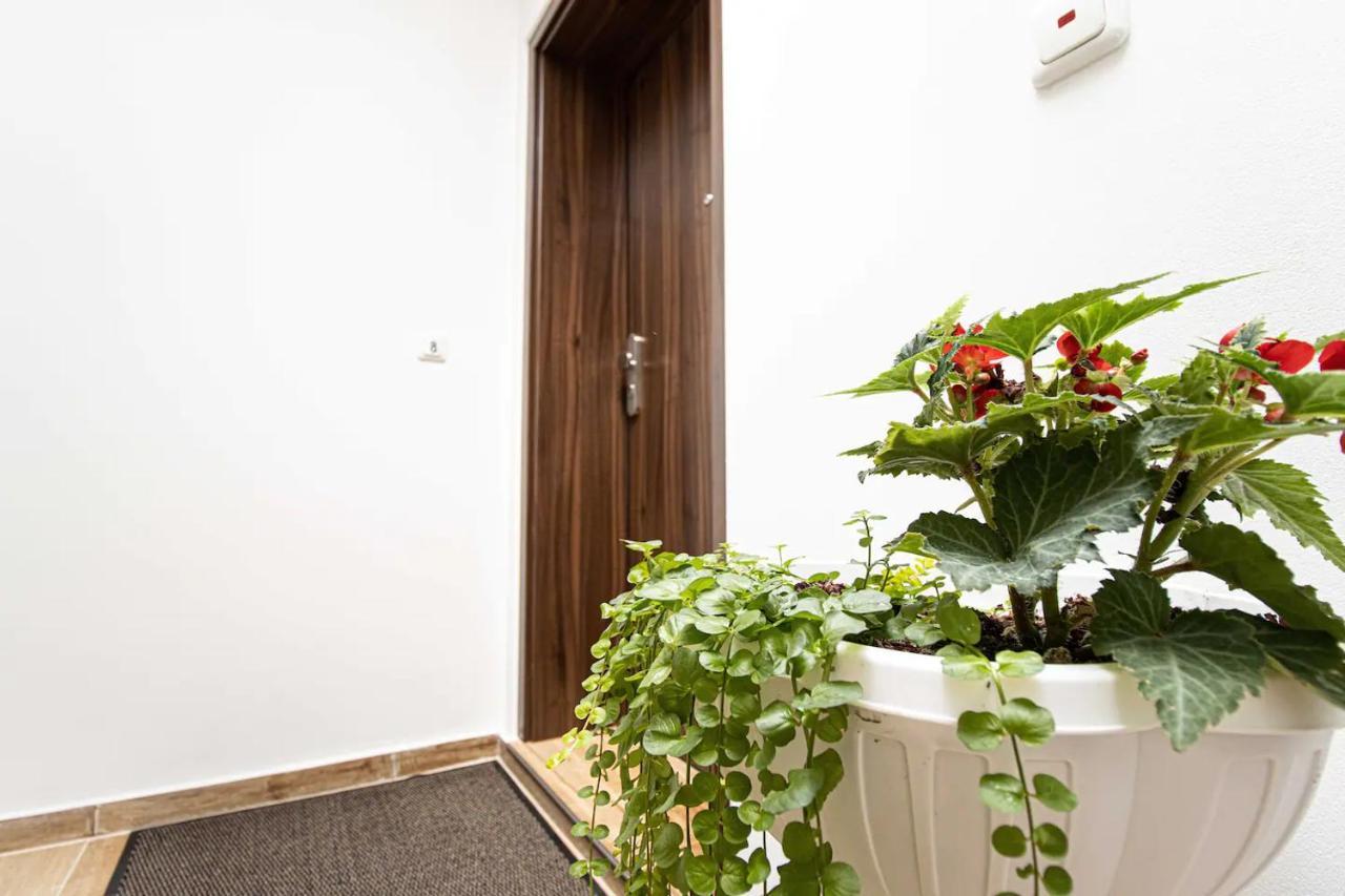 468 Plagwitz Apartment Kulturviertel ライプツィヒ エクステリア 写真